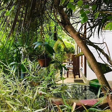 Green Jade Inn Mirissa Exterior foto