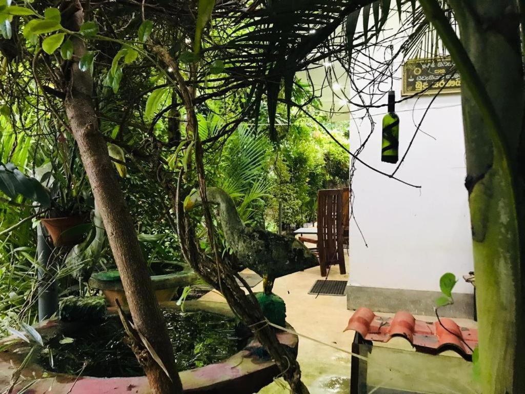 Green Jade Inn Mirissa Exterior foto