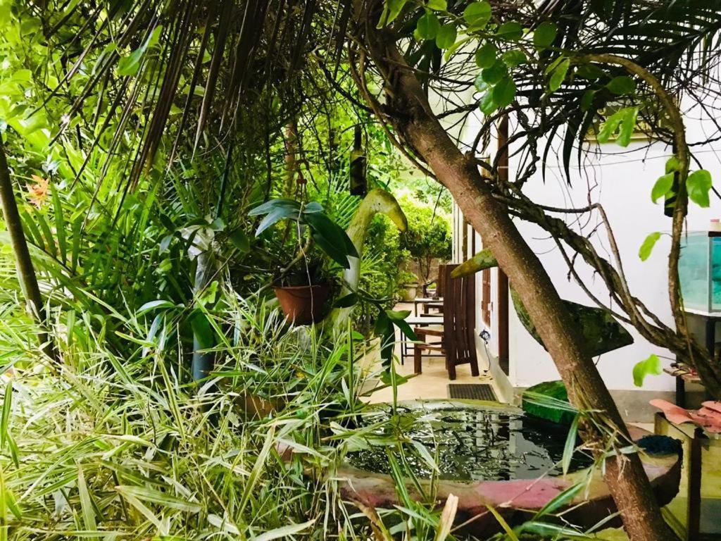 Green Jade Inn Mirissa Exterior foto